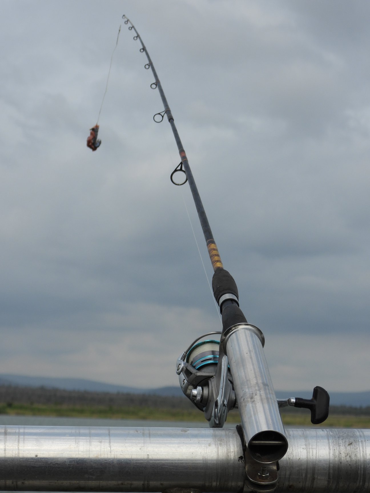 Combine your hunting safari with a fishing safari. Africa is home to the Tiger Fish, the meanest looking hard fighting freshwater predator on the continent. If there is water, there will be fishing on the safari where you would most likely have hippos and crocodiles for company.