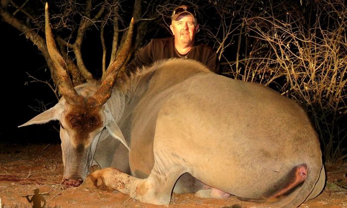 Eland