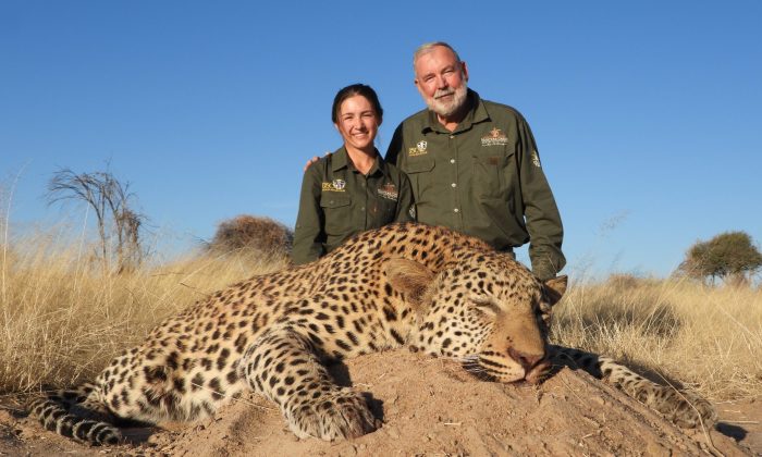 Leopard