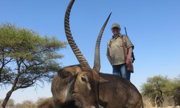 Waterbuck
